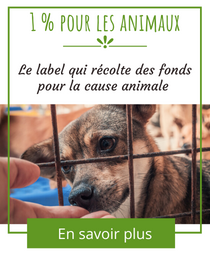 1% pour les animaux : le label qui récolte des fonds pour la cause animale et les espèces menacées
