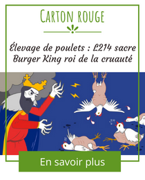 Élevage de poulets - L214 sacre Burger King roi de la cruauté