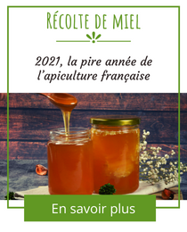Récolte de miel : 2021, la pire année de l'apiculture française