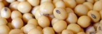 Découvrez l'alimentation vivante avec 3 recettes