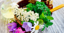 12 plantes médicinales incontournables qui soignent bien des maux