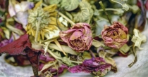 Recycler les fleurs fanées : 6 idées DIY pour embellir votre intérieur ou charmer vos papilles !