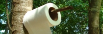 Toilettes sèches : chassez les préjugés !