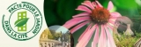 Plus de jardins dans votre ville, cela vous...